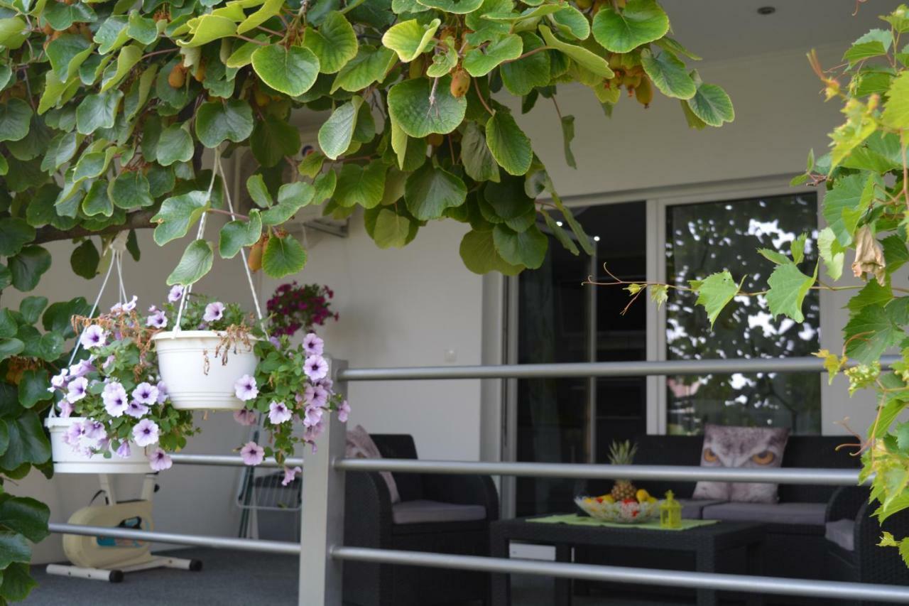 Apartment D & N คาชเตลา ภายนอก รูปภาพ